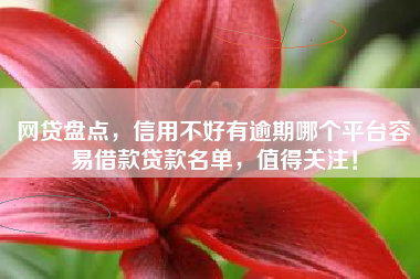 网贷盘点，信用不好有逾期哪个平台容易借款贷款名单，值得关注！