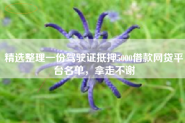 精选整理一份驾驶证抵押5000借款网贷平台名单，拿走不谢