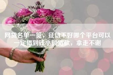 网贷名单一览，征信不好哪个平台可以一定借到钱小额贷款，拿走不谢
