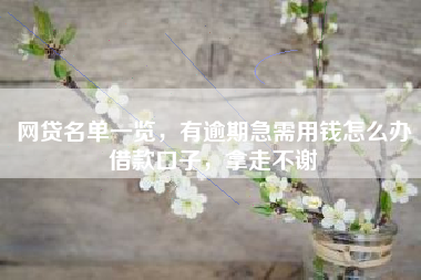 网贷名单一览，有逾期急需用钱怎么办借款口子，拿走不谢