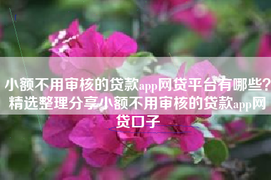 小额不用审核的贷款app网贷平台有哪些？精选整理分享小额不用审核的贷款app网贷口子
