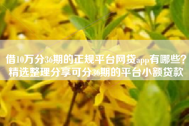 借10万分36期的正规平台网贷app有哪些？精选整理分享可分36期的平台小额贷款