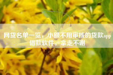 网贷名单一览，小额不用审核的贷款app借款软件，拿走不谢