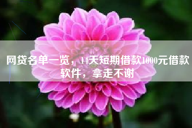 网贷名单一览，14天短期借款1000元借款软件，拿走不谢
