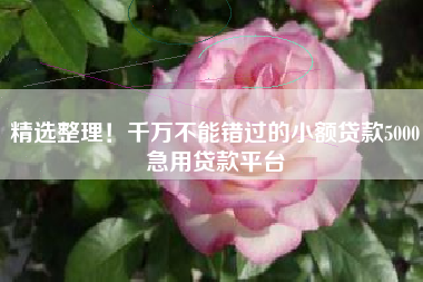 精选整理！千万不能错过的小额贷款5000急用贷款平台