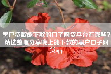 黑户贷款能下款的口子网贷平台有哪些？精选整理分享晚上能下款的黑户口子网贷app