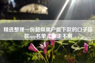 精选整理一份超级黑户能下款的口子贷款app名单，拿走不谢