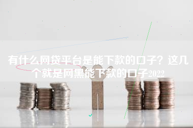 有什么网贷平台是能下款的口子？这几个就是网黑能下款的口子2022
