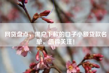 网贷盘点，黑户下款的口子小额贷款名单，值得关注！