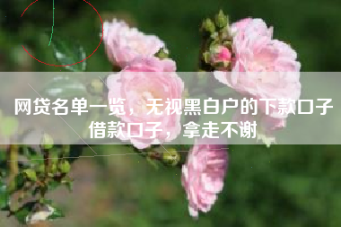 网贷名单一览，无视黑白户的下款口子借款口子，拿走不谢