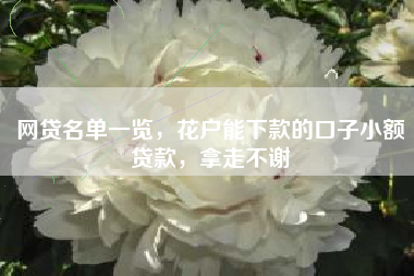 网贷名单一览，花户能下款的口子小额贷款，拿走不谢