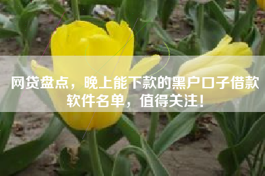 网贷盘点，晚上能下款的黑户口子借款软件名单，值得关注！
