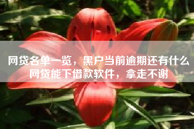 网贷名单一览，黑户当前逾期还有什么网贷能下借款软件，拿走不谢