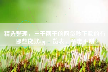 精选整理，三千两千的网贷秒下款的有哪些贷款app一览表，拿走不谢