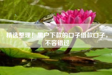 精选整理！黑户下款的口子借款口子，不容错过