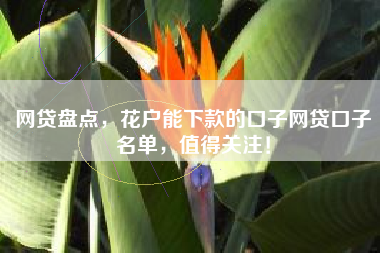 网贷盘点，花户能下款的口子网贷口子名单，值得关注！
