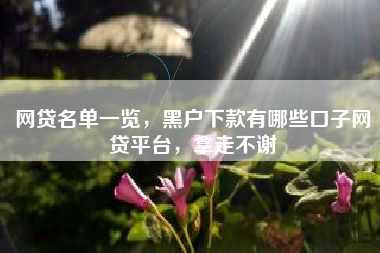 网贷名单一览，黑户下款有哪些口子网贷平台，拿走不谢