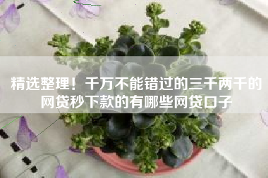精选整理！千万不能错过的三千两千的网贷秒下款的有哪些网贷口子