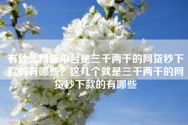 有什么网贷平台是三千两千的网贷秒下款的有哪些？这几个就是三千两千的网贷秒下款的有哪些