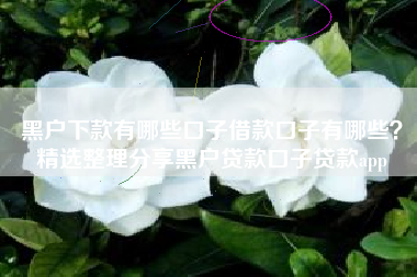 黑户下款有哪些口子借款口子有哪些？精选整理分享黑户贷款口子贷款app