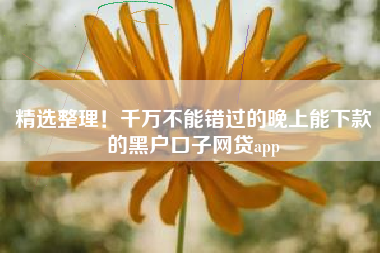 精选整理！千万不能错过的晚上能下款的黑户口子网贷app