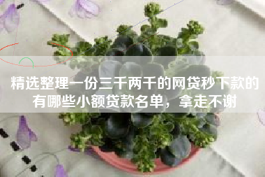 精选整理一份三千两千的网贷秒下款的有哪些小额贷款名单，拿走不谢