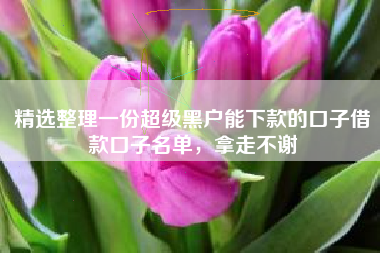 精选整理一份超级黑户能下款的口子借款口子名单，拿走不谢