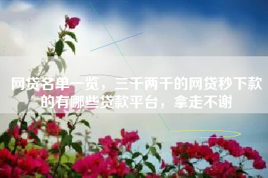 网贷名单一览，三千两千的网贷秒下款的有哪些贷款平台，拿走不谢