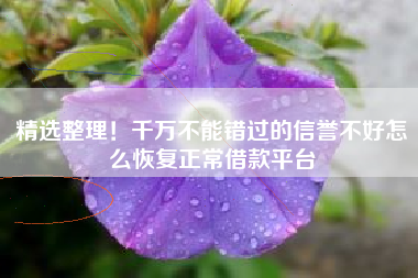 精选整理！千万不能错过的信誉不好怎么恢复正常借款平台