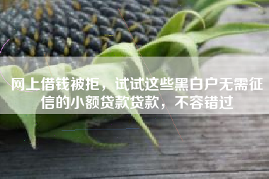 网上借钱被拒，试试这些黑白户无需征信的小额贷款贷款，不容错过