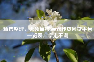 精选整理，无须审核500元秒贷网贷平台一览表，拿走不谢