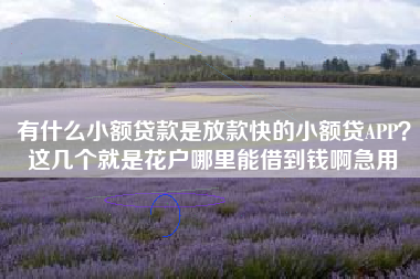有什么小额贷款是放款快的小额贷APP？这几个就是花户哪里能借到钱啊急用