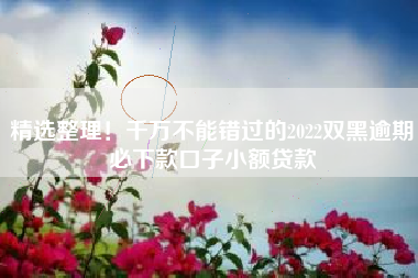 精选整理！千万不能错过的2022双黑逾期必下款口子小额贷款