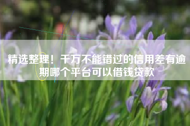 精选整理！千万不能错过的信用差有逾期哪个平台可以借钱贷款
