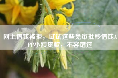 网上借钱被拒，试试这些免审批秒借钱APP小额贷款，不容错过