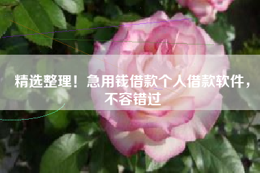 精选整理！急用钱借款个人借款软件，不容错过