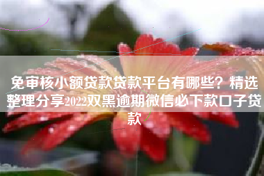 免审核小额贷款贷款平台有哪些？精选整理分享2022双黑逾期微信必下款口子贷款