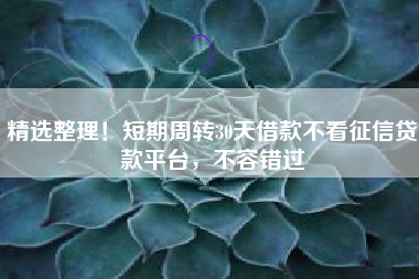 精选整理！短期周转30天借款不看征信贷款平台，不容错过