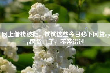 网上借钱被拒，试试这些今日必下网贷app网贷口子，不容错过