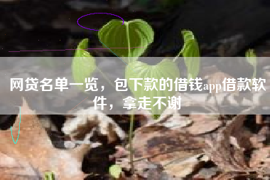 网贷名单一览，包下款的借钱app借款软件，拿走不谢