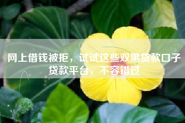 网上借钱被拒，试试这些双黑贷款口子贷款平台，不容错过