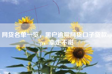 网贷名单一览，黑户逾期网贷口子贷款app，拿走不谢