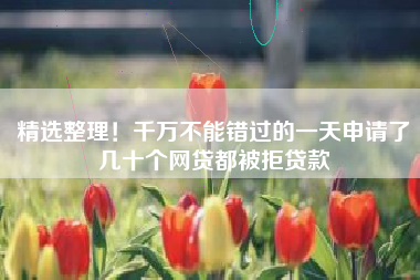精选整理！千万不能错过的一天申请了几十个网贷都被拒贷款