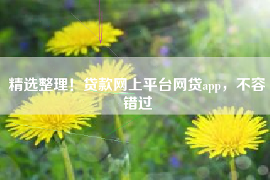 精选整理！贷款网上平台网贷app，不容错过