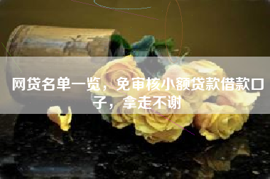 网贷名单一览，免审核小额贷款借款口子，拿走不谢