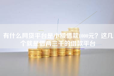 有什么网贷平台是小额借款1000元？这几个就是借两三千的借款平台