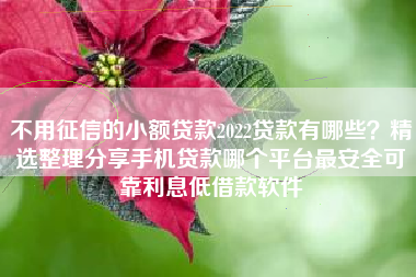 不用征信的小额贷款2022贷款有哪些？精选整理分享手机贷款哪个平台最安全可靠利息低借款软件