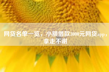 网贷名单一览，小额借款3000元网贷app，拿走不谢