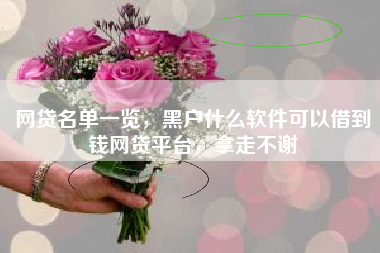 网贷名单一览，黑户什么软件可以借到钱网贷平台，拿走不谢