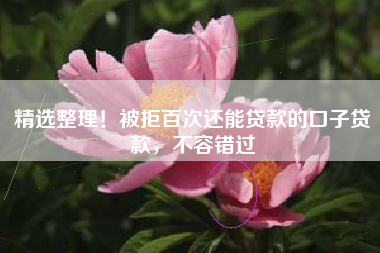 精选整理！被拒百次还能贷款的口子贷款，不容错过